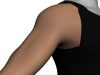 right_arm_render.png